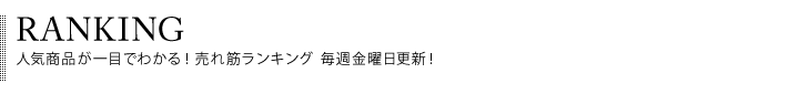 人気ランキング