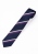 NEW BASIC STRIPE 【S】