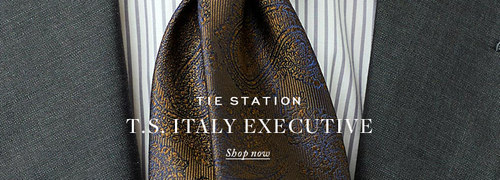 ネクタイ T.S. ITALY EXECUTIVE