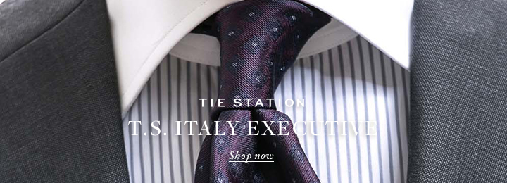 ネクタイ T.S. ITALY EXECUTIVE